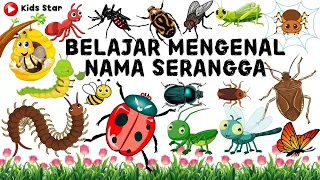 BELAJAR NAMA HEWAN SERANGGA BAHASA INDONESIA - NGGRIS | NAMES OF INSECT LEARN ANIMALS NAMA BINATANG