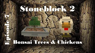 Stoneblock 2 | Bonsai Trees and Chickens | E07