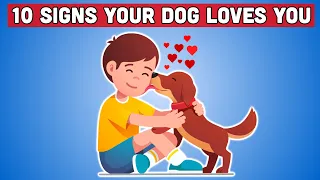 10 SIGNS YOUR DOG LOVES YOU