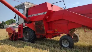 Żniwa owsa --Massey Ferguson 20 i Władimirec T25 W akcji ///Michał///