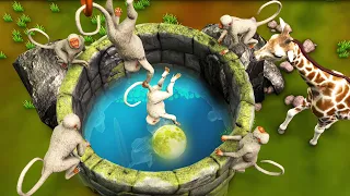 चार बंदर और चंद्रमा प्रतिबिंब Four Monkeys and Moon Hindi Kahaniya 3D Panchatantra Stories in Hindi