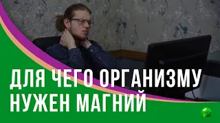 Для чего организму Магний