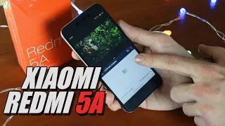 Xiaomi Redmi 5A - лучший бюджетный смартфон "без приколов"!