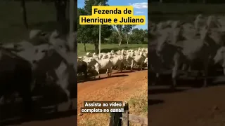 Terra Prometida - A Fazenda de Henrique e Juliano!