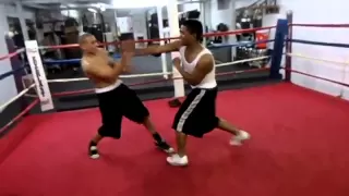 boxing vs kung fu