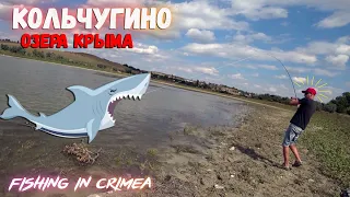 Рыбалка на озерах Крыма, озеро в Кольчугино, ловля щуки