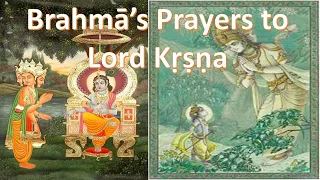 10.14.14 - Śrīmad Bhāgavatam [Brahmā’s Prayers to Lord Kṛṣṇa] श्रीमद भागवतम - Tuesday, 12/May/2020