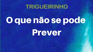 Trigueirinho | O que não se pode Prever