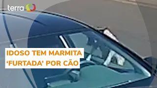 Cachorro 'invade' carro e 'furta' marmita de idoso no interior de SP