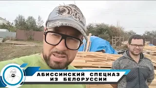 Абиссинка вблизи пляжа // буровой спецназ из Белоруссии