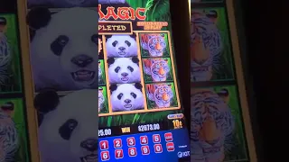 handpay on highlimit panda magic #handpay #casino #highlimitslots #sanyulyaslots