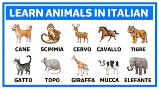 Learn animals in Italian 🐈🐕 | Learn italian #learn_italian #italian