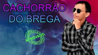 CACHORRÃO DO BREGA ATUALIZADO MELHOR DO MUNDO