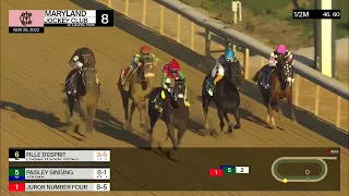 Laurel Park Carrera 8 (The Politely Stakes) - 25 de Noviembre 2022