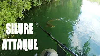 SILURE en float tube attaque au whopper plopper (CATFISH ATTACK)