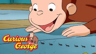 Curious George 🐵 George Learns About Ants 🐵 Kids Cartoon 🐵 Kids Movies 🐵 Videos for Kids