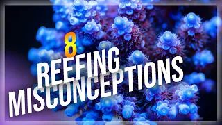 8 Reef Tank Misconceptions | SPS Acropora