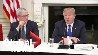 Apple CEO Tim Cook talks coding, employment with Donald Trump
