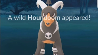 A Wild Houndoom Has Appeared! Pokemon GO Generation 2 Pokedex Entry!