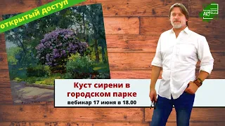 Куст сирени в парке