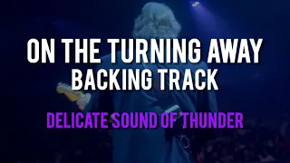 On The Turning Away BACKING TRACK (guitar extraction) - Delicate Sound of Thunder