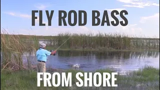 Fly Rod Bass from shore