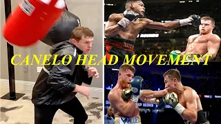 Canelo Alvarez Head Movement Training