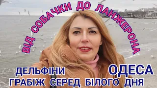 ОДЕСА , сьогодні 19.02.24 МОРЕ  ВІД СОБАЧКИ ДО ЛАНЖЕРОНА .