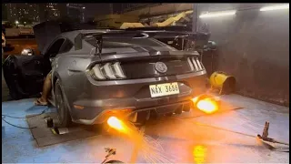 FORD MUSTANG ECOBOOST | BORLA | CUSTOM TUNED | GT500 KIT