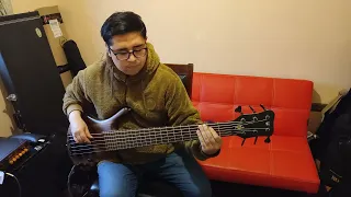 Incubus - Pardon me - Bass Cover - Warwick Thumb BO 6 broadneck 2003