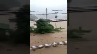 Torrential Rain Flooding in Southwest Japan 2020