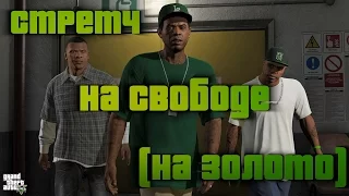 GTA 5 Стретч на свободе / GTA V The Long Stretch (100% GOLD 60 FPS)