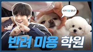 I finally found something I can't do… | Pet grooming | TXT TAEHYUN | [Academy Reincarnation] EP.08