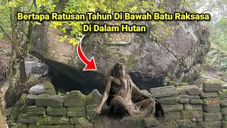 Bertapa Ratusan Tahun Hingga Berlumut Di Bawah Batu Raksasa Di Dalam Hutan