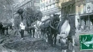 Mémoire du siecle Paris vécu