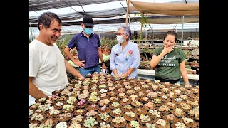 Sustrato que utiliza Roberto Garay para sus cultivos