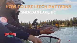 FLY FISHING: LEECHES on SHERIDAN LAKE