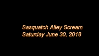 Sasquatch Scream