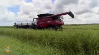 Florida Crystals Rice Farms: Learn About Harvesting