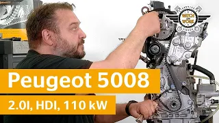 Tutorial: sostituzione della cinghia di distribuzione sulla Peugeot 5008 2,0 l HDI 110 kW