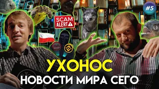 Новости про волков в аэропорту, смертельные селфи и токен Squid  | УхоНос #5