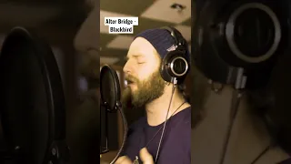 Alter Bridge - Blackbird (Vocal Cover) #maxroxton #alterbridge #blackbird #vocalcover  #rock #singer