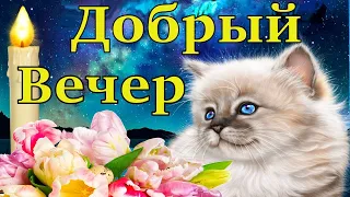 Добрый Вечер! Пожелания Доброго Вечера! Открытки Добрый Вечер! Хорошего Вечера от FANTAZIA!