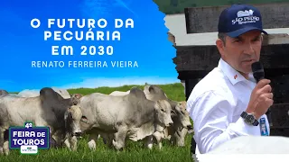 O FUTURO DA PECUÁRIA EM 2030 | PILARES DA PECUÁRIA DE CICLO CURTO | RENATO FERREIRA VILELA