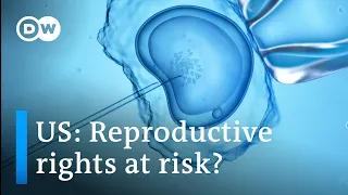 Alabama hospital suspends in-vitro fertilization after Supreme Court ruling | DW News