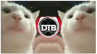 Cat Vibing Meme (DNK 2021 EDM Remix)