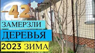 ЗАМЕРЗЛИ ДЕРЕВЬЯ ПОСЛЕ ЗИМЫ - 42 ЯБЛОНЯ,ГРУША,СЛИВА ,ЧЕРЕШНЯ