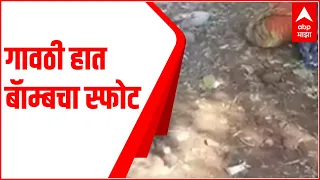 Raigad Blast: माणगावजवळ गावठी हात बॅाम्बचा स्फोट, एकाचा मृत्यू