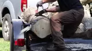 Lewis winch unloading Big logs from a trailer