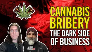 How to Start a Cannabis Business the Right Way - Avoiding the Dark Side of the Industry